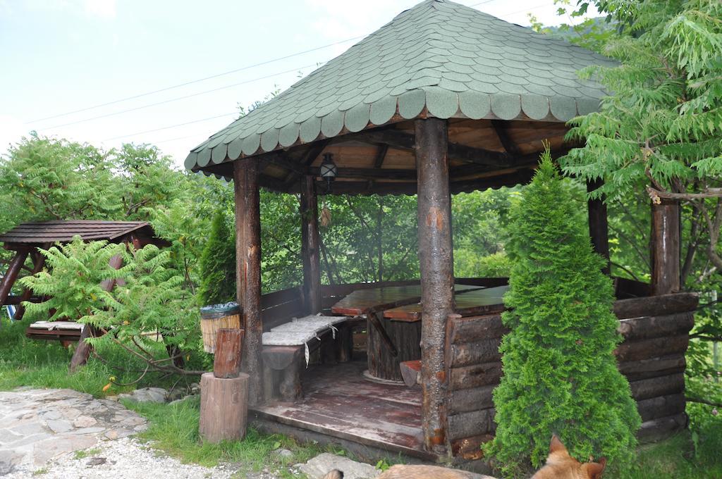 Pensiunea Valahia Brezoi Exterior foto